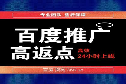 百度竞价代运营公司成功案例揭秘：策略与执行