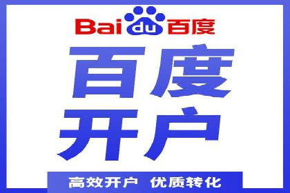 顶级SEM服务公司案例解析
